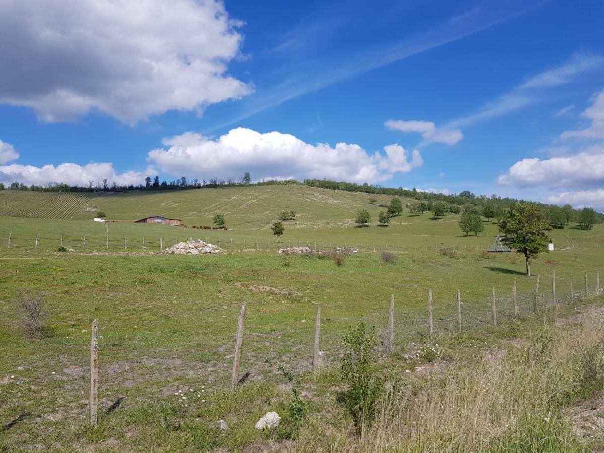 Warias Hotel & Restaurant Braunsbedra Екстер'єр фото